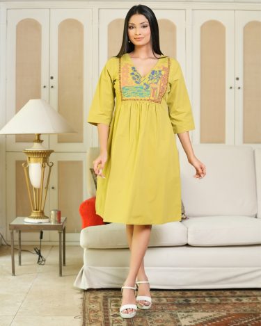 Yoke Embroidered Short Dress